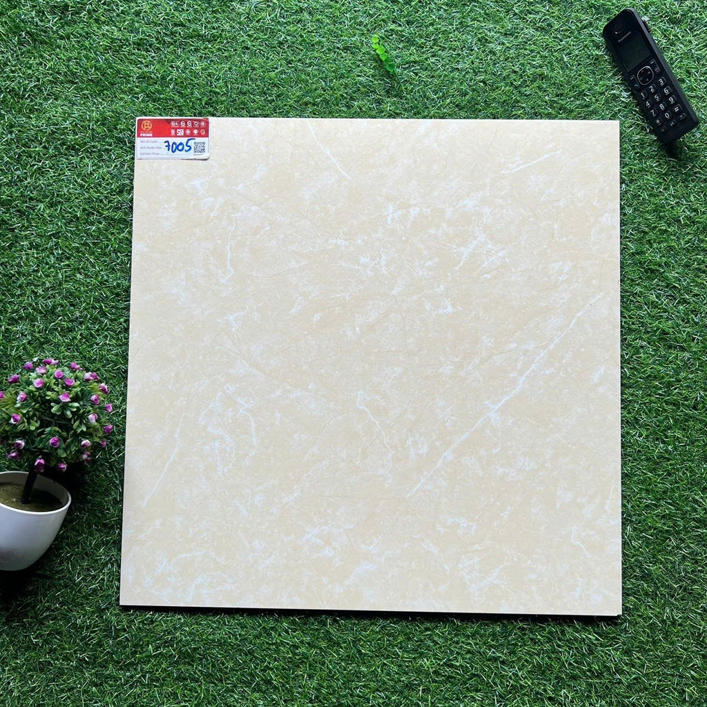 Gạch lát 60x60cm men matt 7005