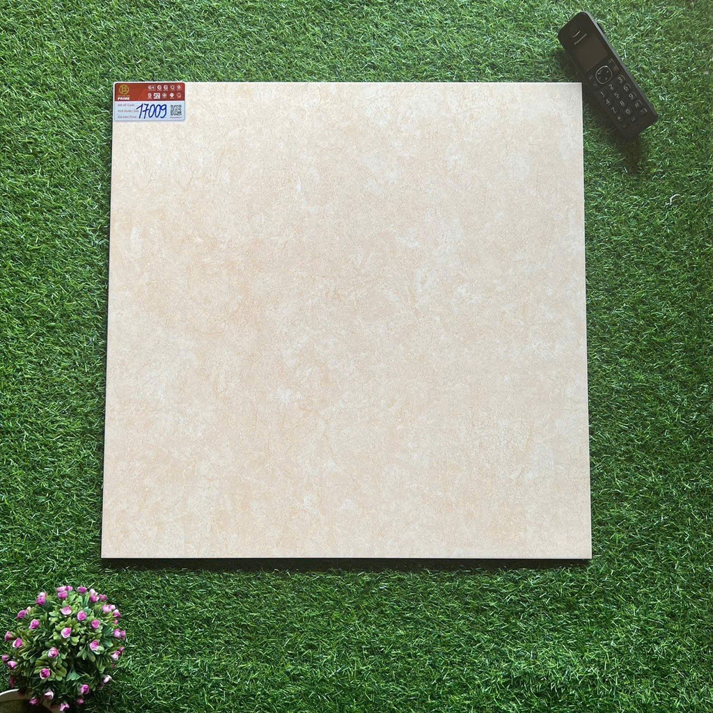 Gạch lát 60x60cm men matt 17009