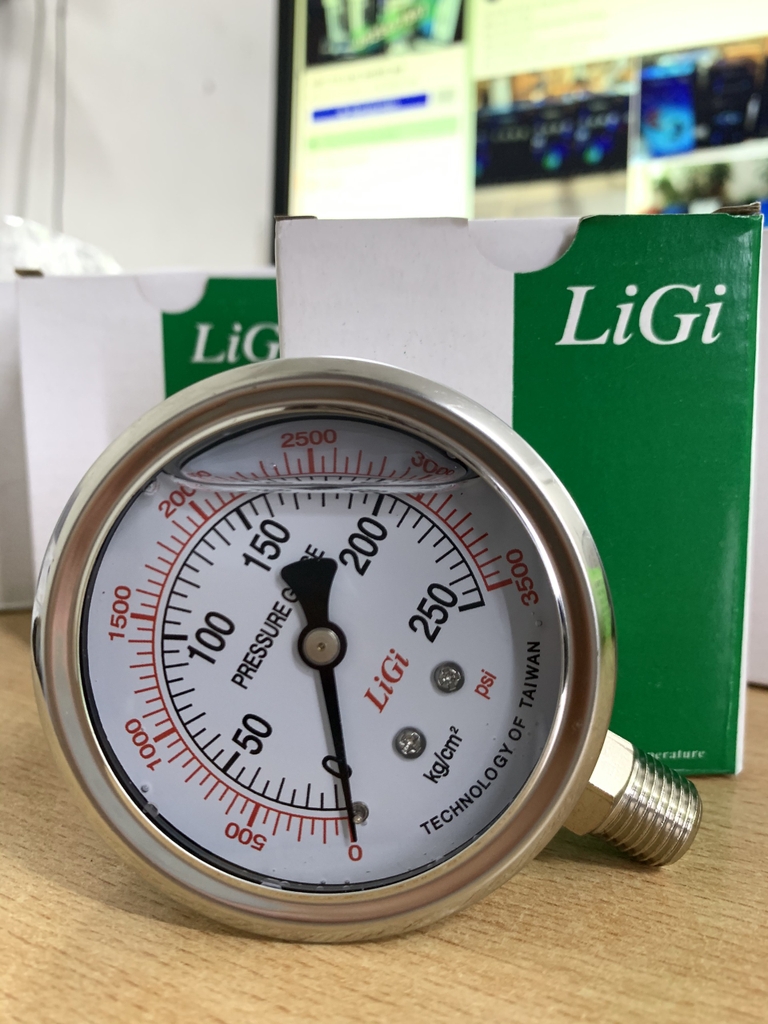 Đồng hồ đo áp suất có dầu 250kg mặt 63(mm)