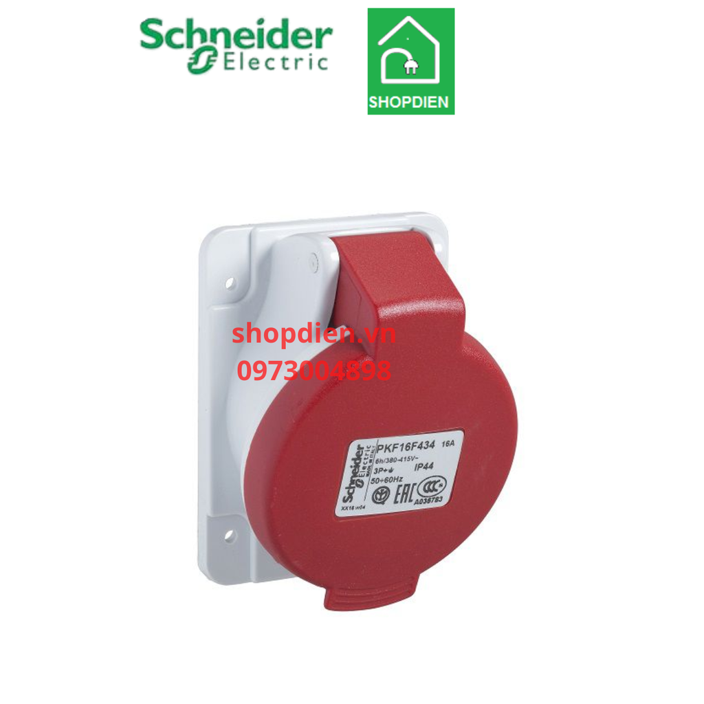 Ổ cắm công nghiệp loại âm dạng nghiêng 4P ( 3P+E) 32A IP44 Schneider PKF32F434