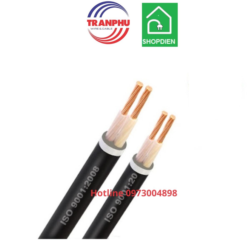 Cáp điện treo ngoài trời Cu / XLPE/ PVC 2x10 mm Trần Phú ( CXV)