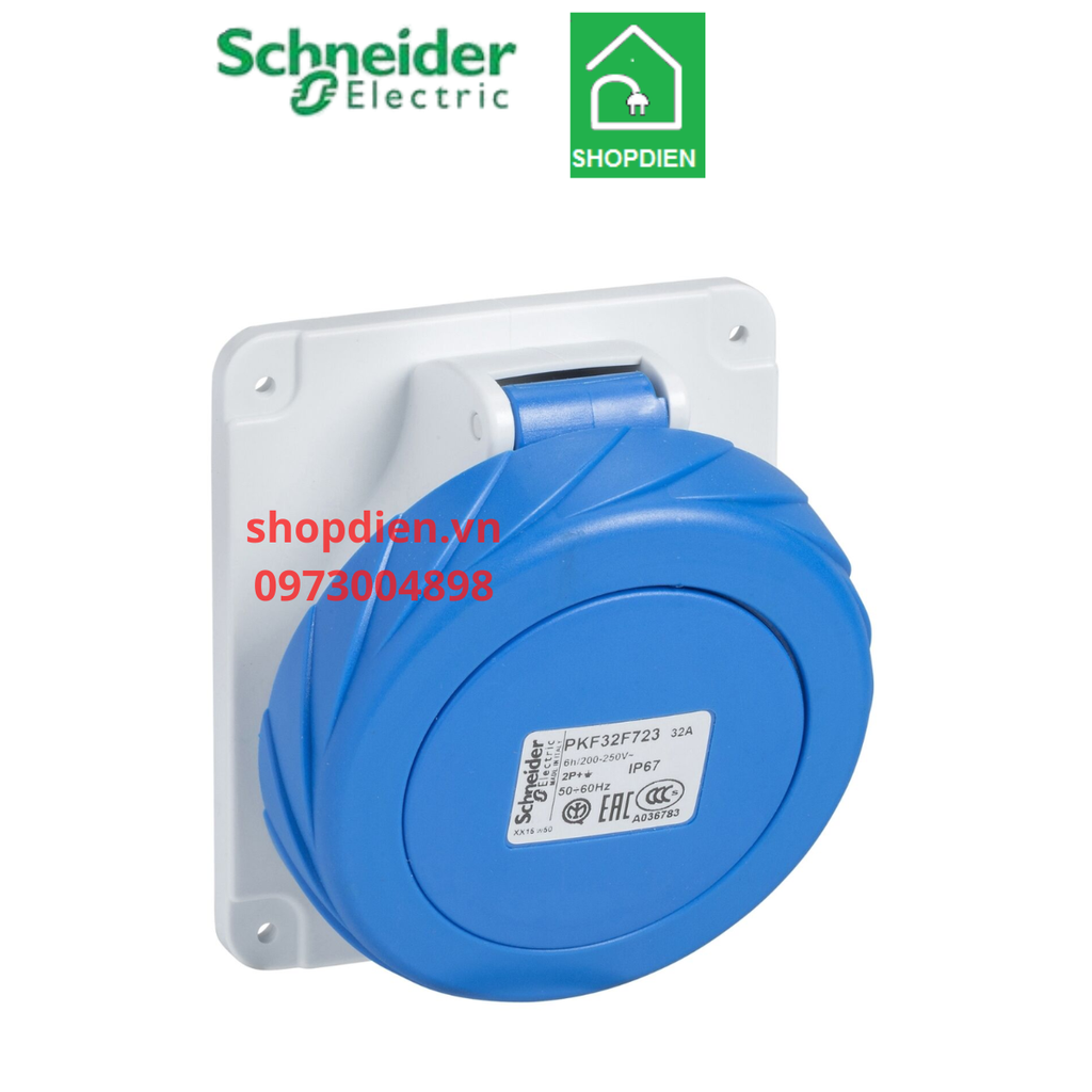 Ổ cắm công nghiệp loại âm dạng nghiêng 3P ( 2P+E) 32A IP67 Schneider PKF32F723