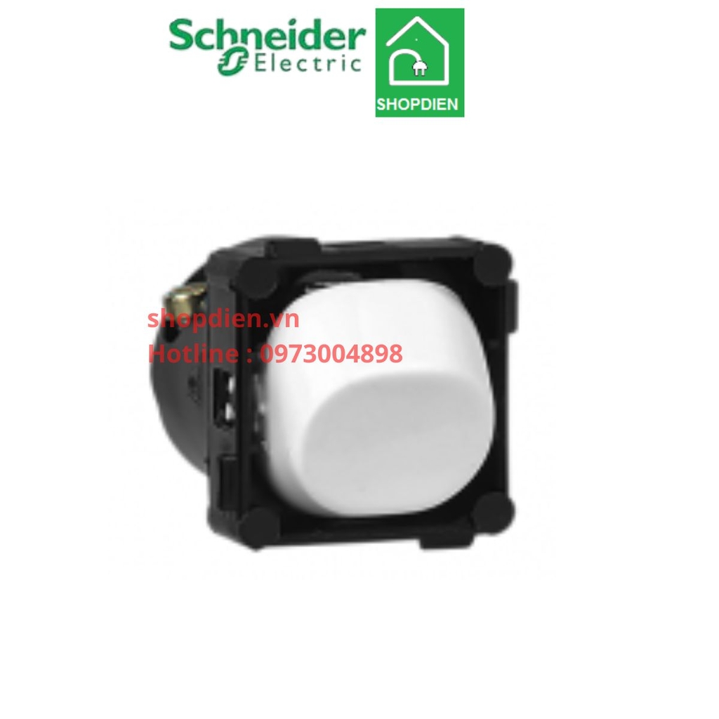 Công tắc 2 chiều  S-classic Schneider-30M_G19