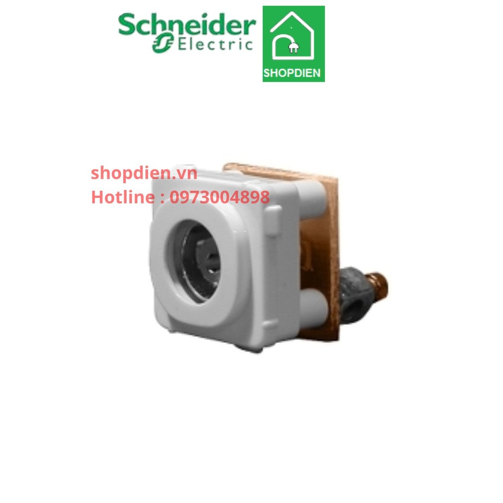 Ổ cắm angten Tivi S-classic Schneider-30TV75MS_G19