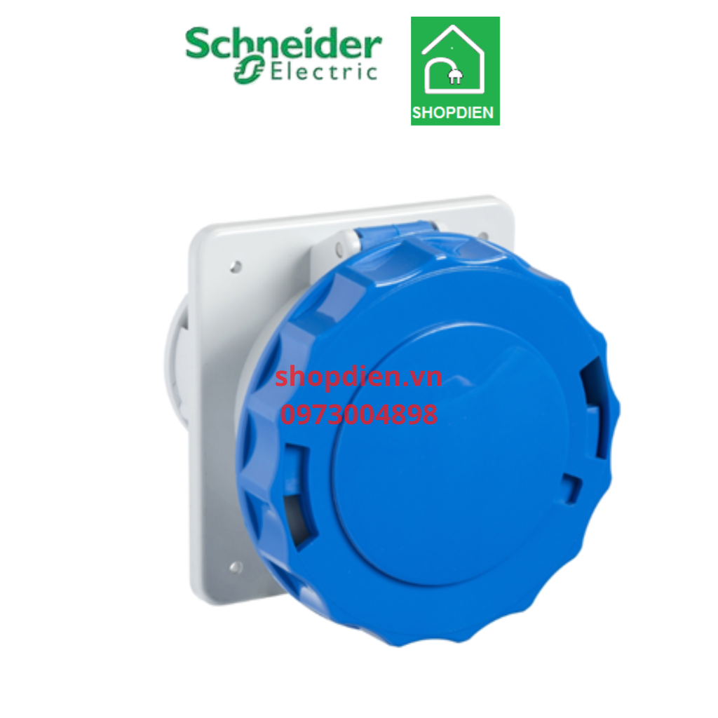Ổ cắm công nghiệp loại âm dạng thẳng 3P ( 2P+E) 63A IP67 Schneider 81678