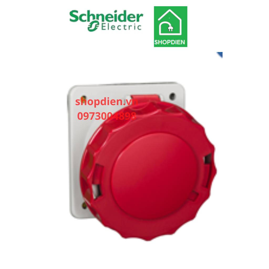 Ổ cắm công nghiệp loại âm dạng nghiêng 4P ( 3P+E) 63A IP67 Schneider 81282