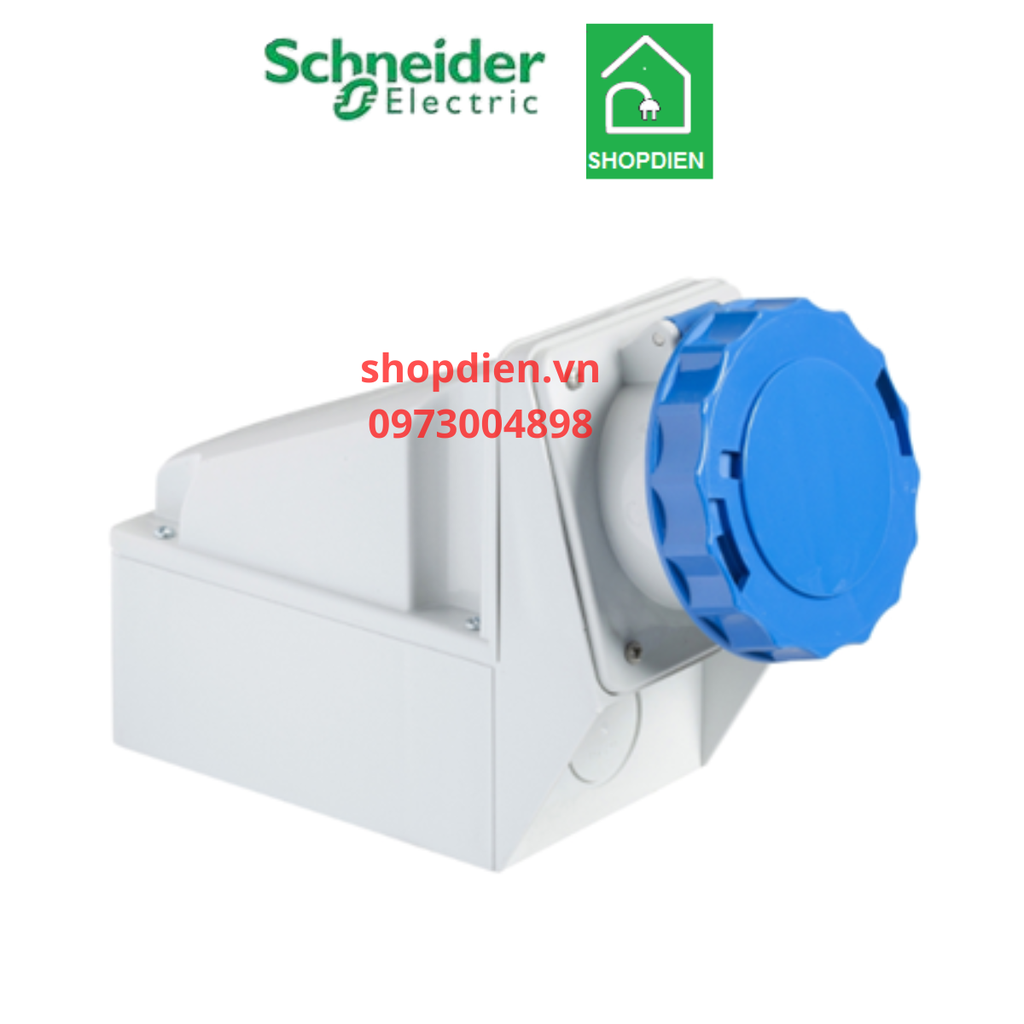 Ổ cắm công nghiệp gắn nổi 3P ( 2P+E) 63A IP67 Schneider 81178