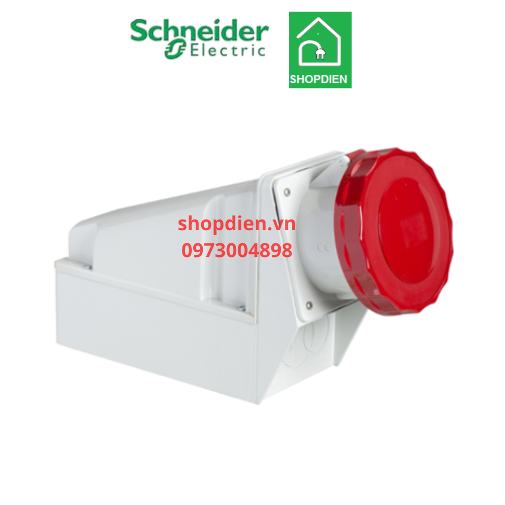 Ổ cắm công nghiệp gắn nổi 5P ( 4P+E) 125A IP67 Schneider 81195