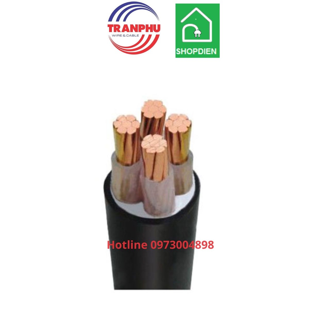 Cáp ngầm ngoài trời Cu/XLPE/ DSTA/PVC 4x10mm2 Trần Phú CXV/DSTA