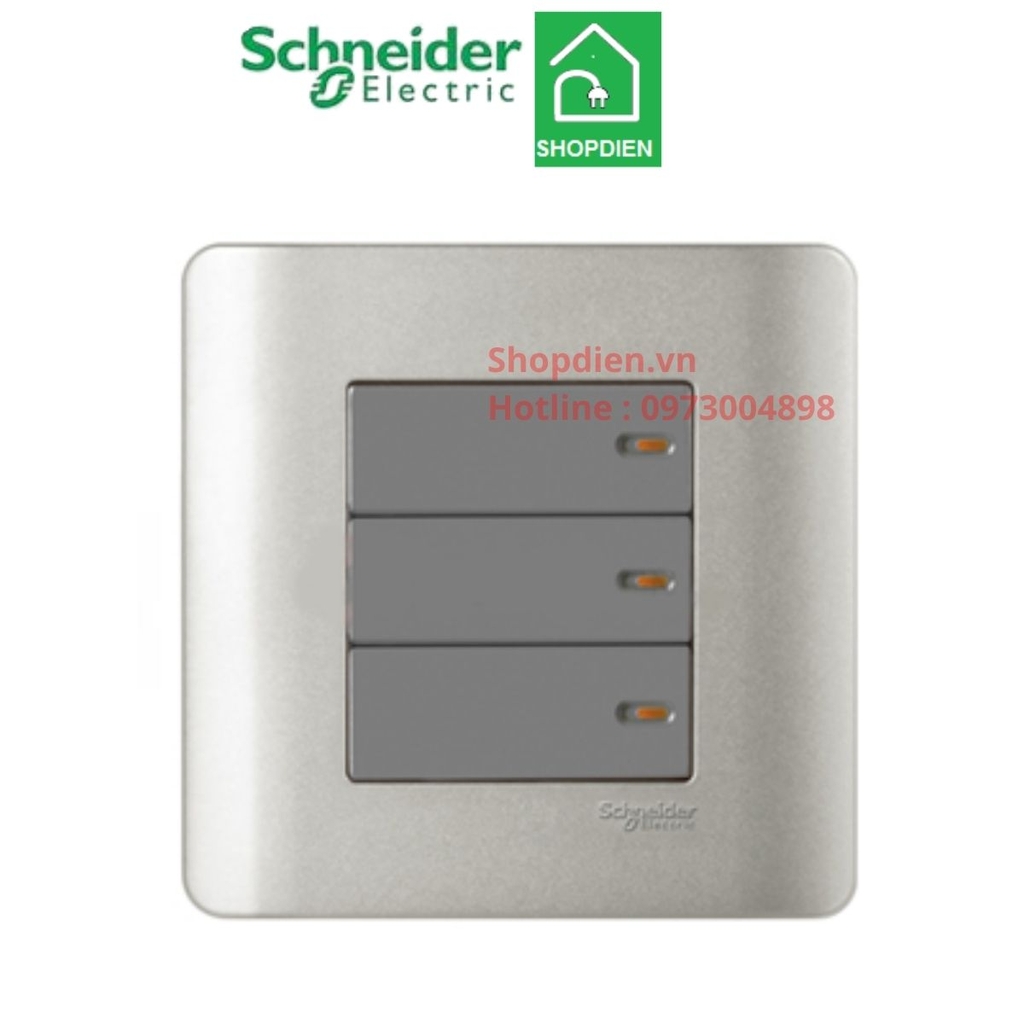 Công tắc ba 2 chiều Schneider Zencelo E8433_2_SA màu xám bạc