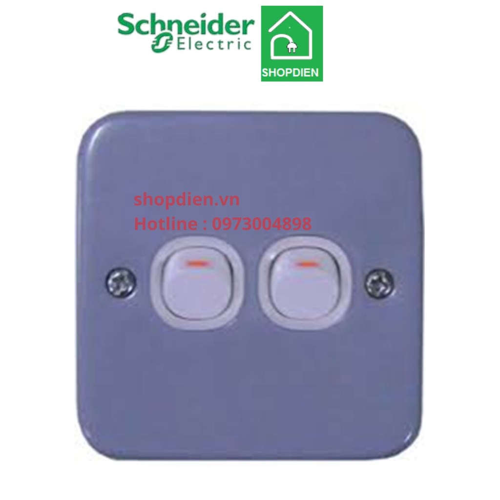 Công tắc đôi 1 chiều mặt kim loại Schneider EMS32_1_2AR_G19 Metal clad