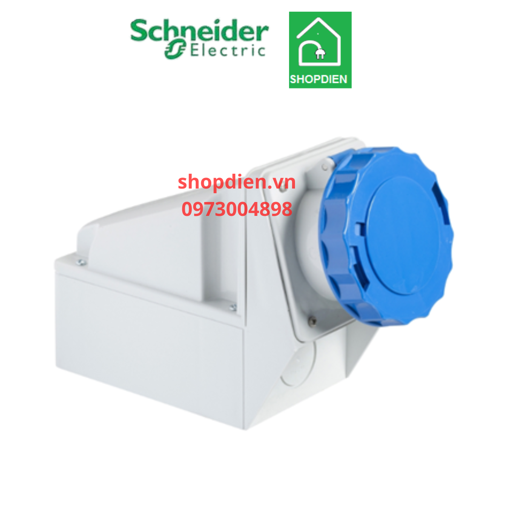 81178 Schneider Ổ cắm công nghiệp gắn nổi 3P 63A IP67 2P+E