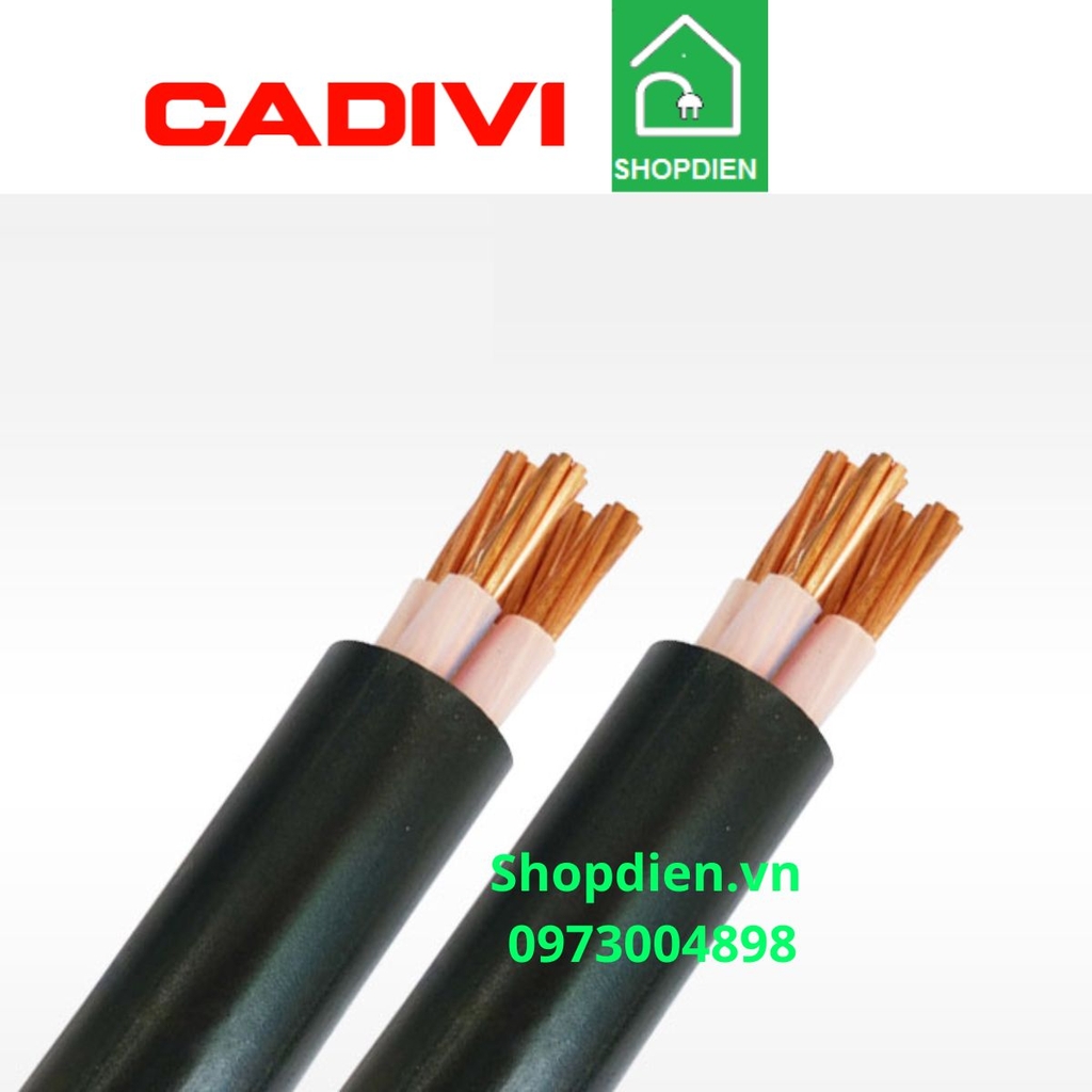 Cáp treo ngoài trời Cu/xlpe/pvc 4x10mm2 Cadivi CXV