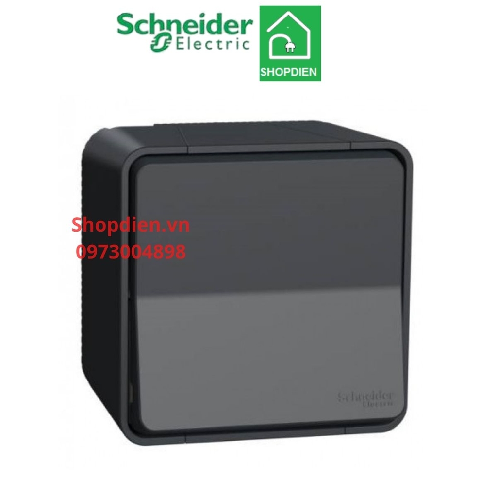 Công tắc đơn 2 cực 16A MUREVA Schneider MUR35033 chống thấm nước IP55 có đèn LED