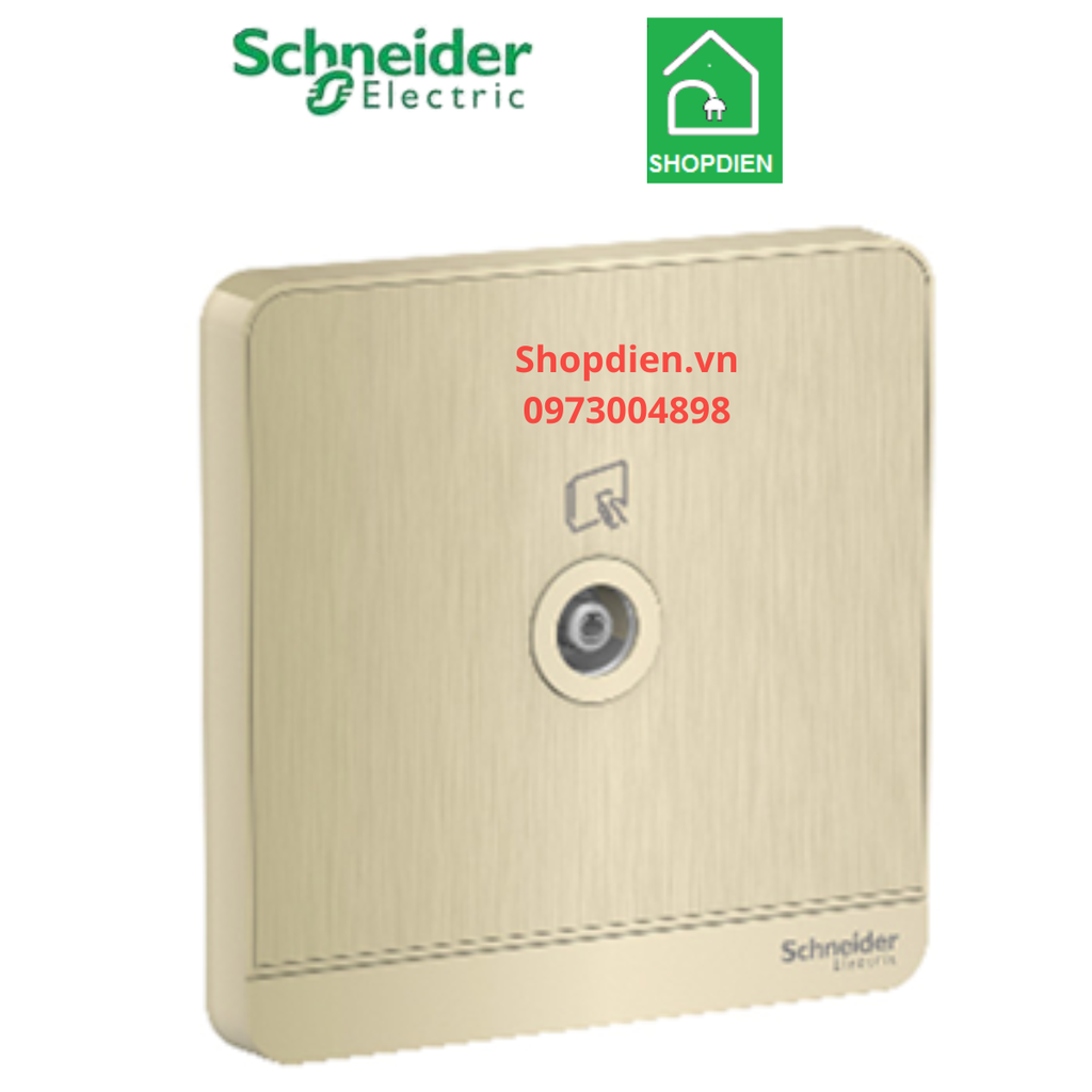 E8331TV_WG_G19 Schneider ổ cắm Tivi AvatarOn Màu vàng ánh kim Vuông