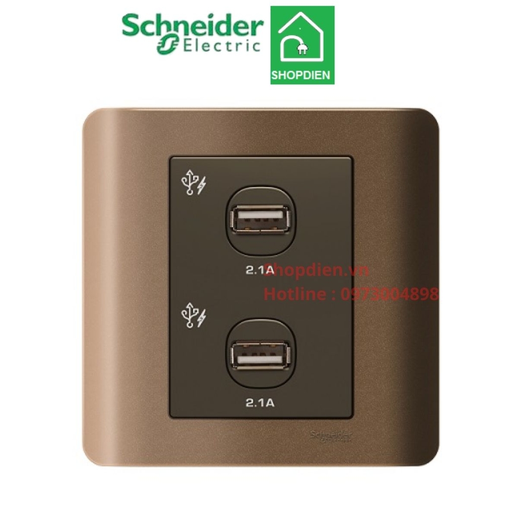 E8432USB_SZ_G19 Schneider Ổ cắm sạc USB đôi Zencelo màu đồng