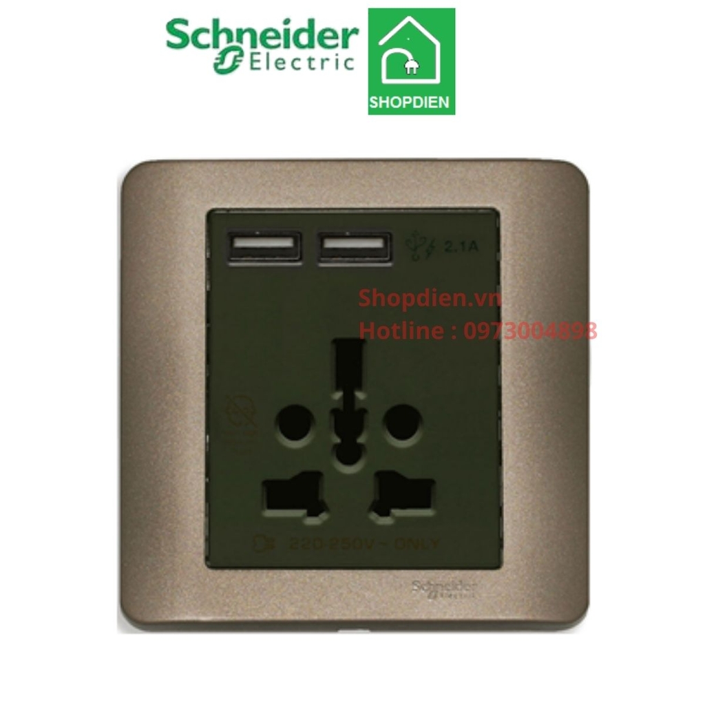 E8442616USB_SZ_G19 Schneider Ổ cắm đa năng và sạc USB Zencelo màu đồng
