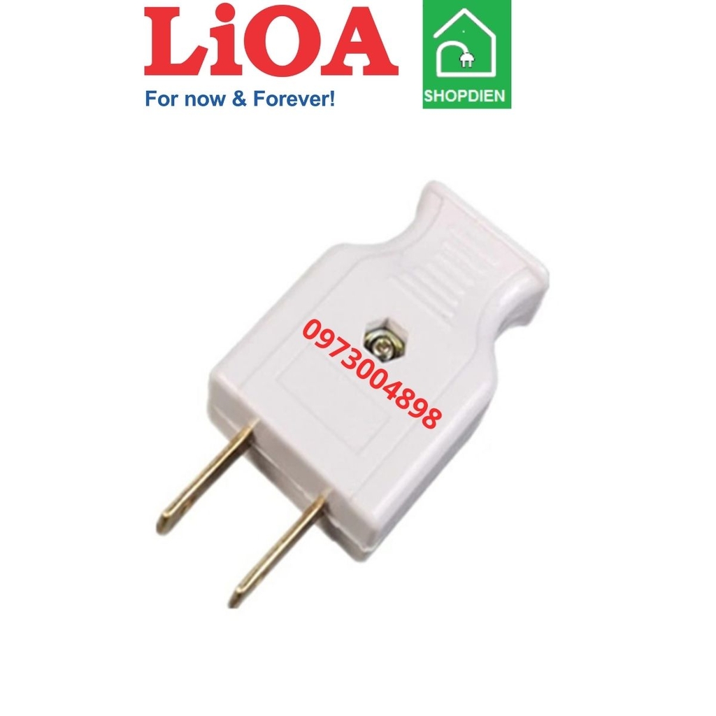 EU 2D LIOA Phích cắm 2 chân dẹt