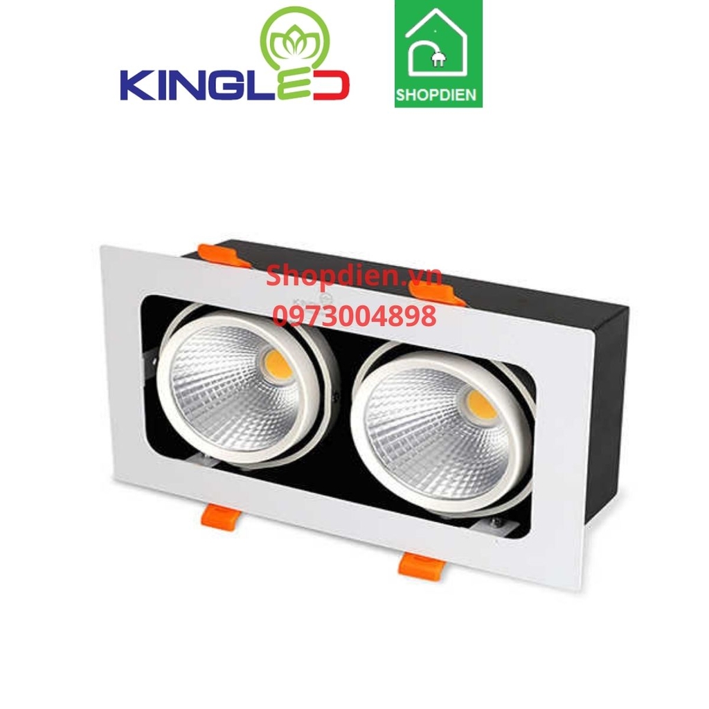 GL-2*10SS-V227 KINGLED Đèn rọi hộp âm trần 2x10W TOPAZ loại đôi