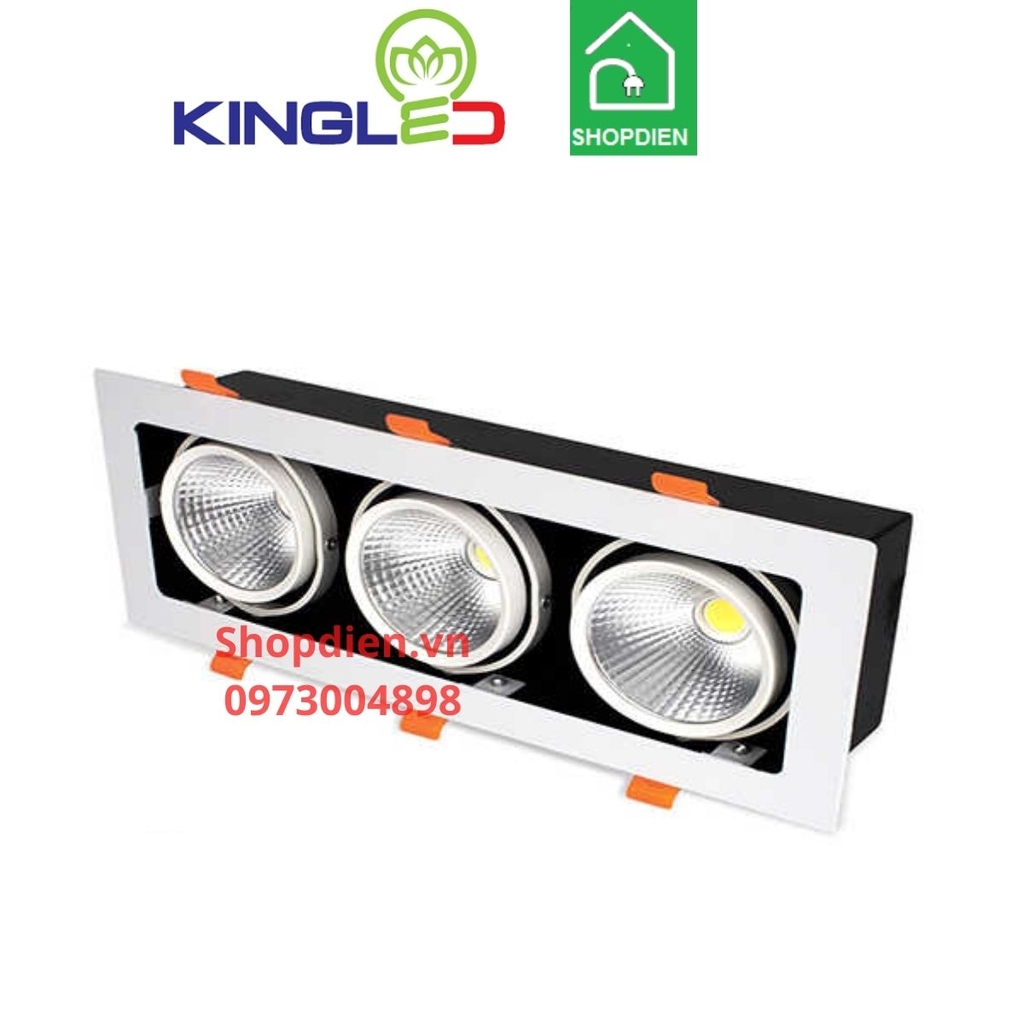 GL-3*10SS-V334 KINGLED Đèn rọi hộp âm trần 3x10W TOPAZ loại ba