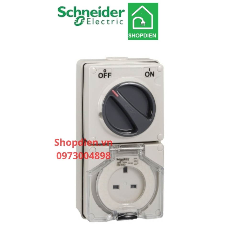 Ổ cắm có công tắc 3P 13A IP66 S56 Schneider S56C313GY