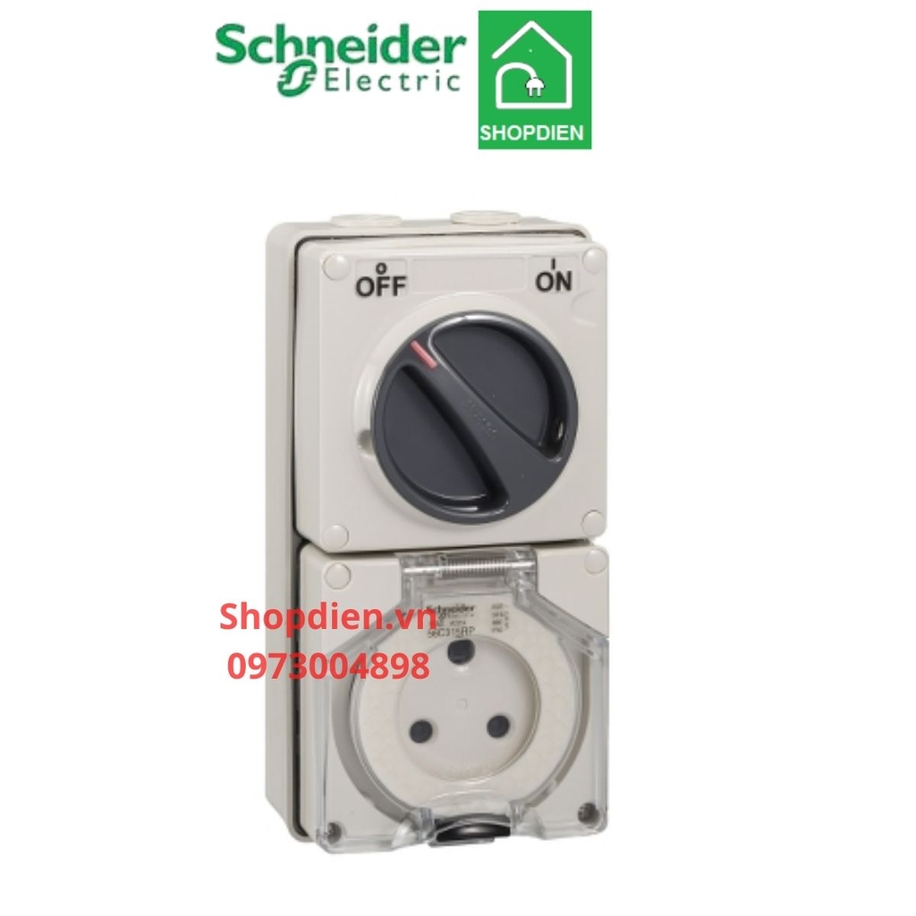 Ổ cắm có công tắc 3P 15A S56 Schneider S56C315RPGY IP66