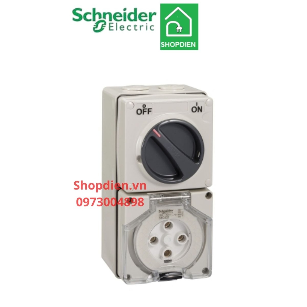Ổ cắm có công tắc 4P 32A S56 Schneider S56C432GY IP66
