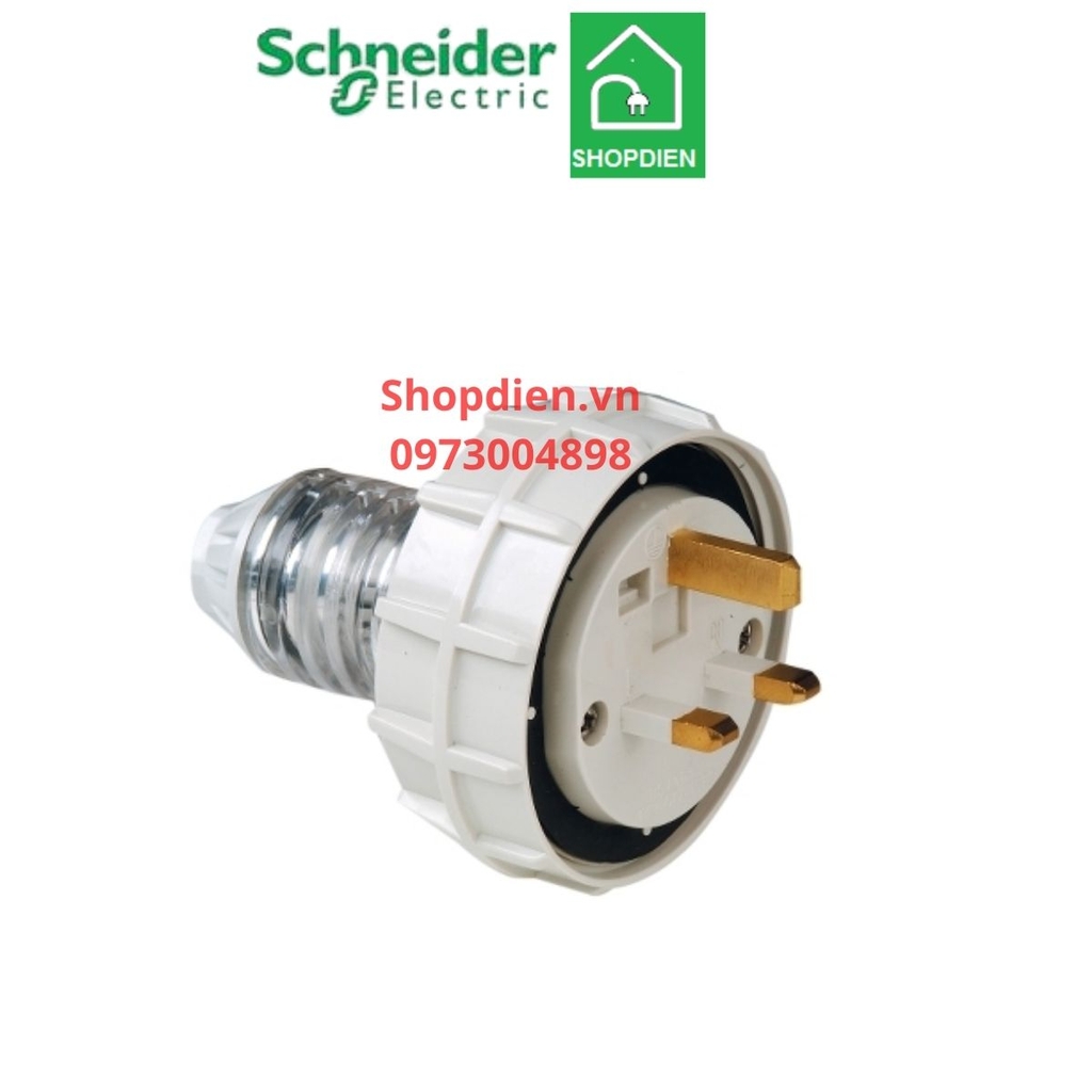 Phích cắm 3 chân 13A IP66 S56 SCHNEIDER S56P313GY_G15 Plug 2P+E