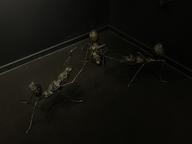 Điêu khắc sắt hàn “Kiến đen” - Hùng Kiến