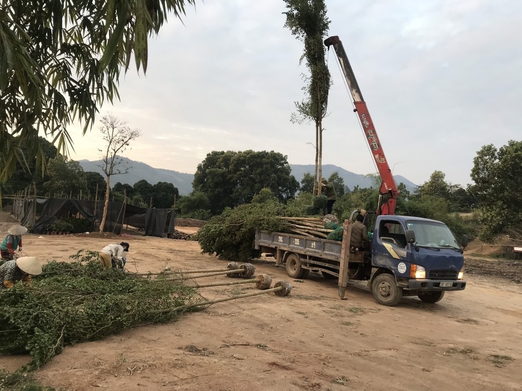 Dự án Windham Skylake Resort & Villas