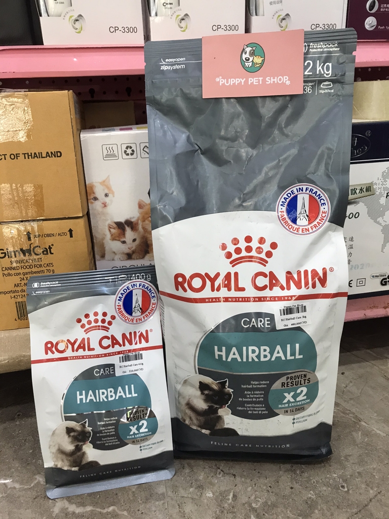 Royal Canin Hairball Care hỗ trợ tiêu búi lông cho mèo