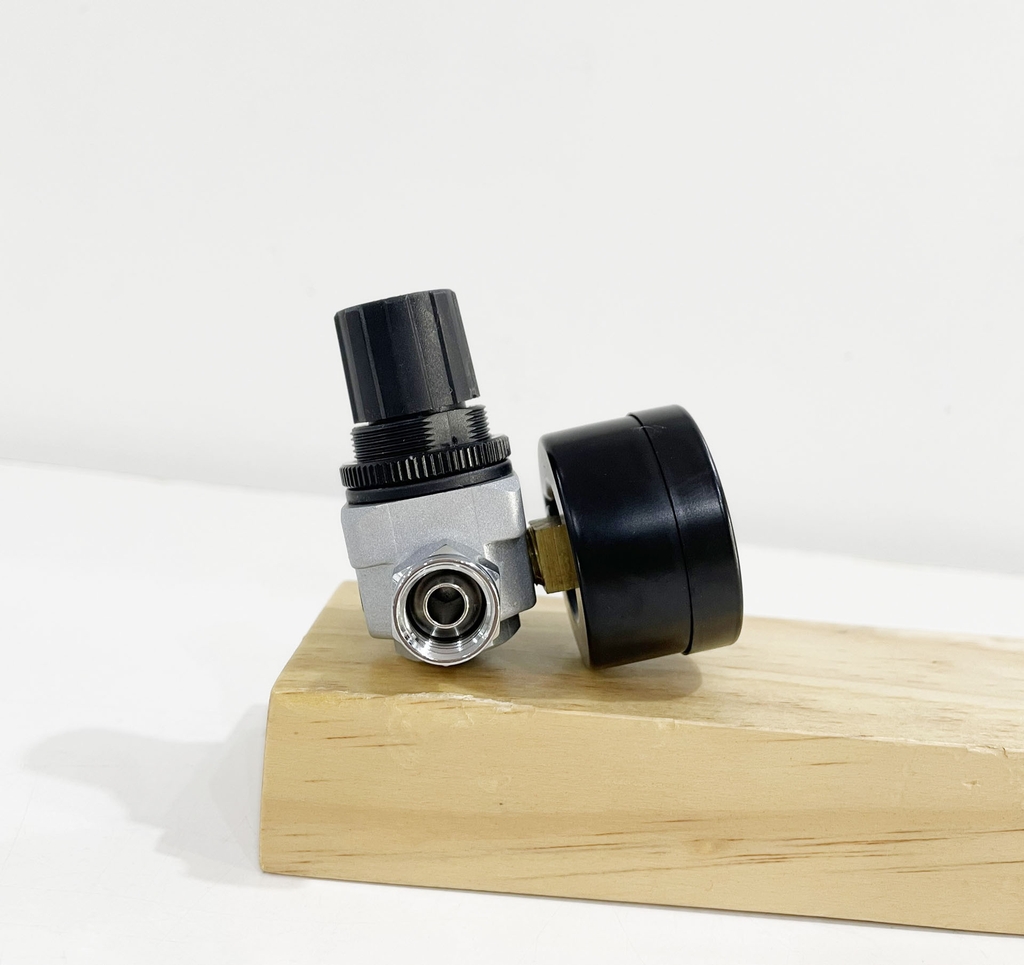 Điều áp khí nén Prona RP001-G