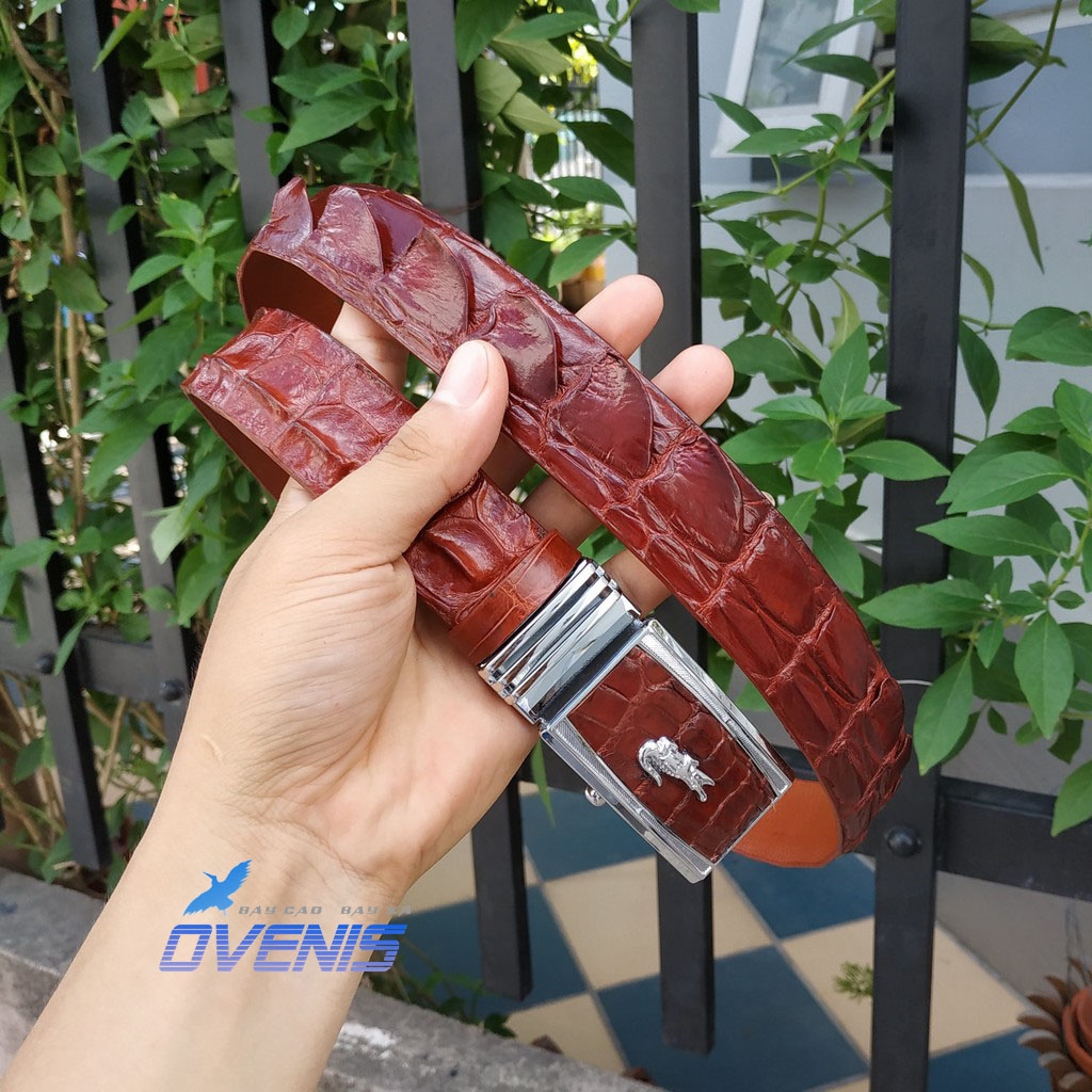 Thắt Lưng Da Cá Sấu Liền Nguyên Con N30ND