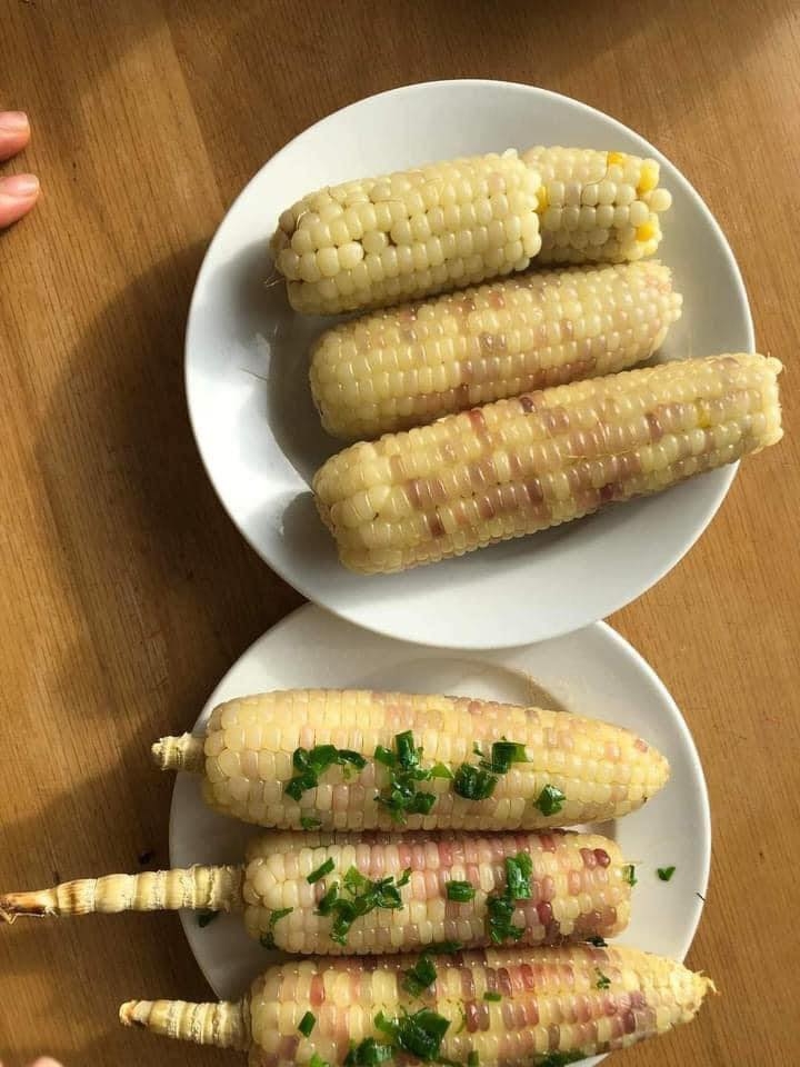 Bắp Nếp Thái Mini