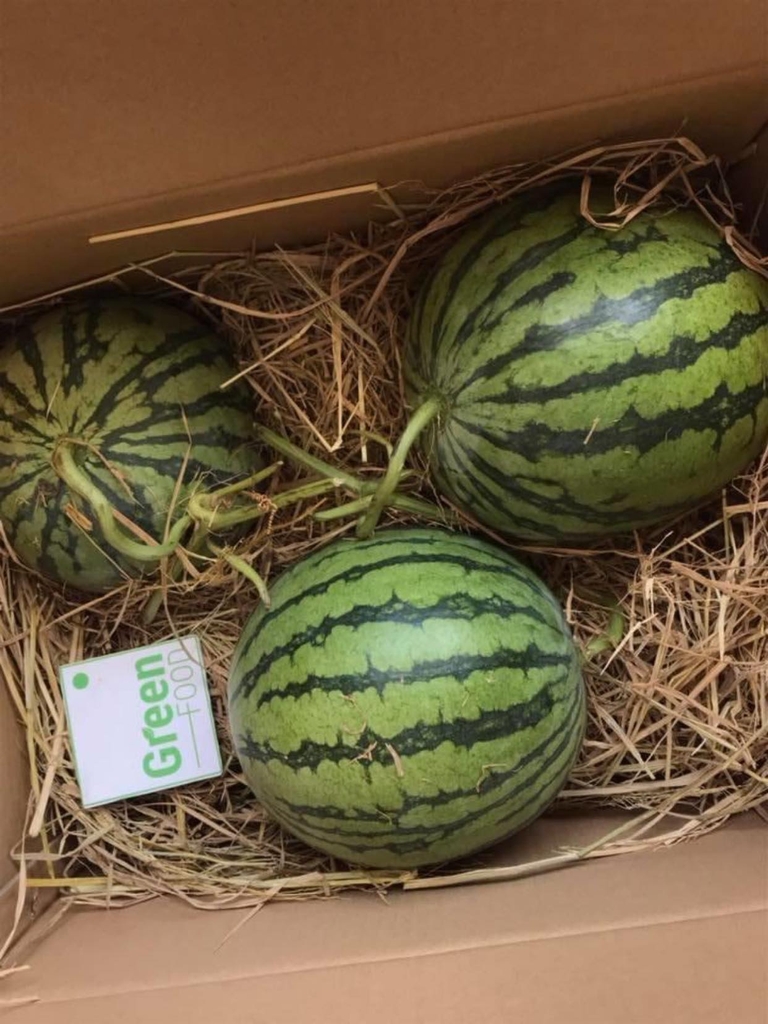 Dưa Hấu Sọc Hạt Lép Ruột Đỏ - PTCT ATKS