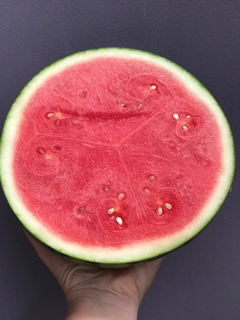 Dưa Hấu Sọc Hạt Lép Ruột Đỏ - PTCT ATKS
