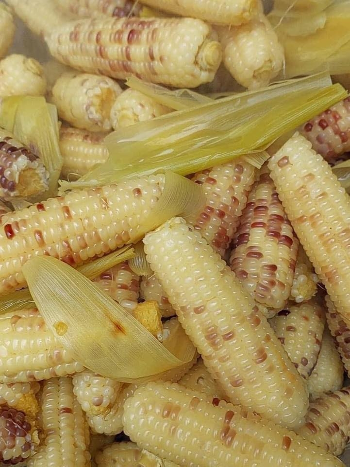 Bắp Nếp Thái Mini