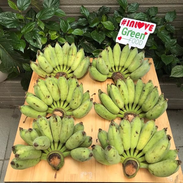 Chuối Sứ (Chuối Xiêm) - PTCT Hữu Cơ