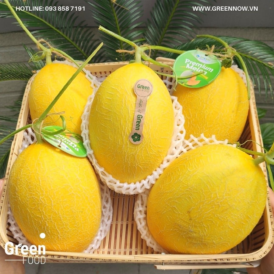 Dưa Lưới Huỳnh Long Ninh Thuận - PTCT An Toàn Nhà Màng