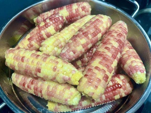 Bắp Nếp Thái Mini