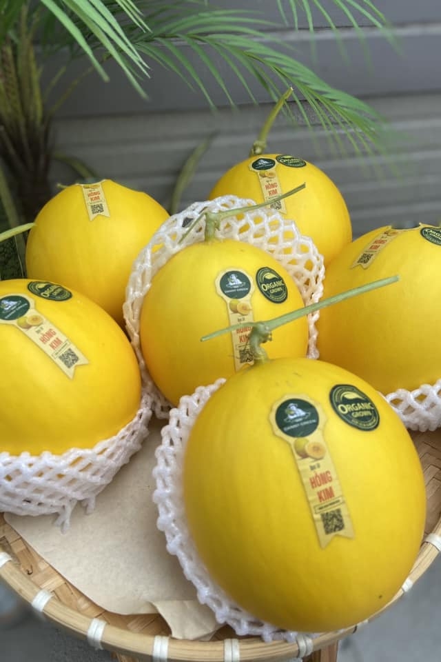 Dưa Lê Hồng Kim Danny Green • Ruột Cam Vỏ Vàng