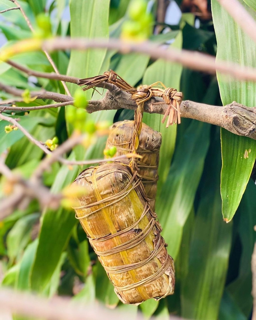 Bánh Tét Trà Vinh Nhân Mặn