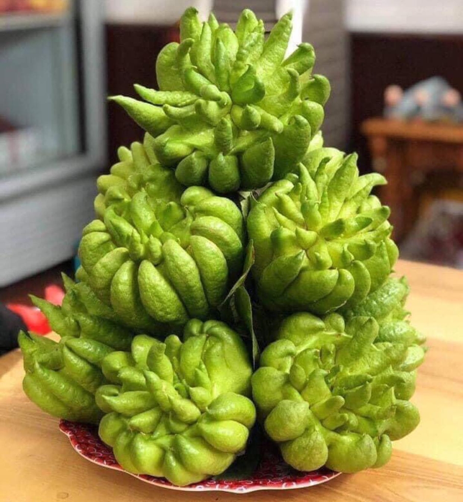 Phật Thủ Chưng Tết (Lẻ/ Trái)