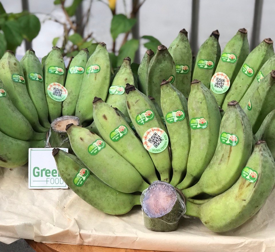 Chuối Sứ (Chuối Xiêm) - PTCT Hữu Cơ