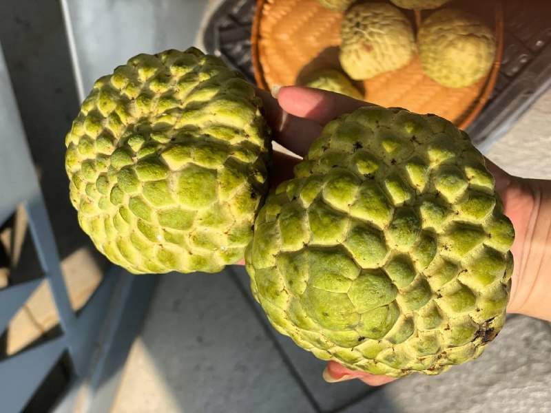 Mãng Cầu Thái Sạch - Sz Trên 400g