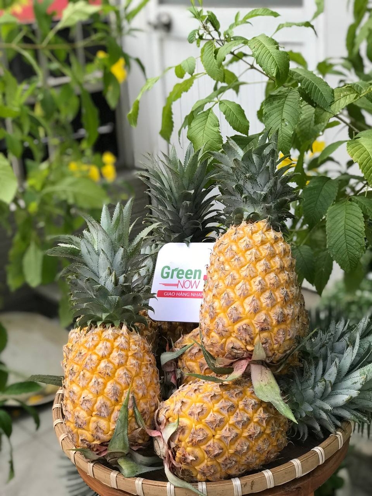 Dứa Queen (Thơm Mật) Nghệ An/ Đak Lak - PTCT Hữu Cơ