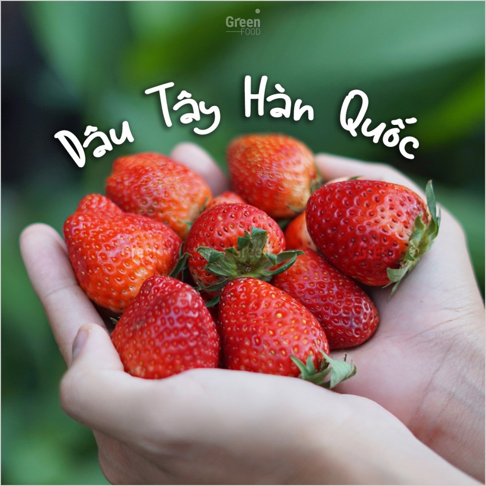 Dâu Tây Hàn Quốc JOY FARM