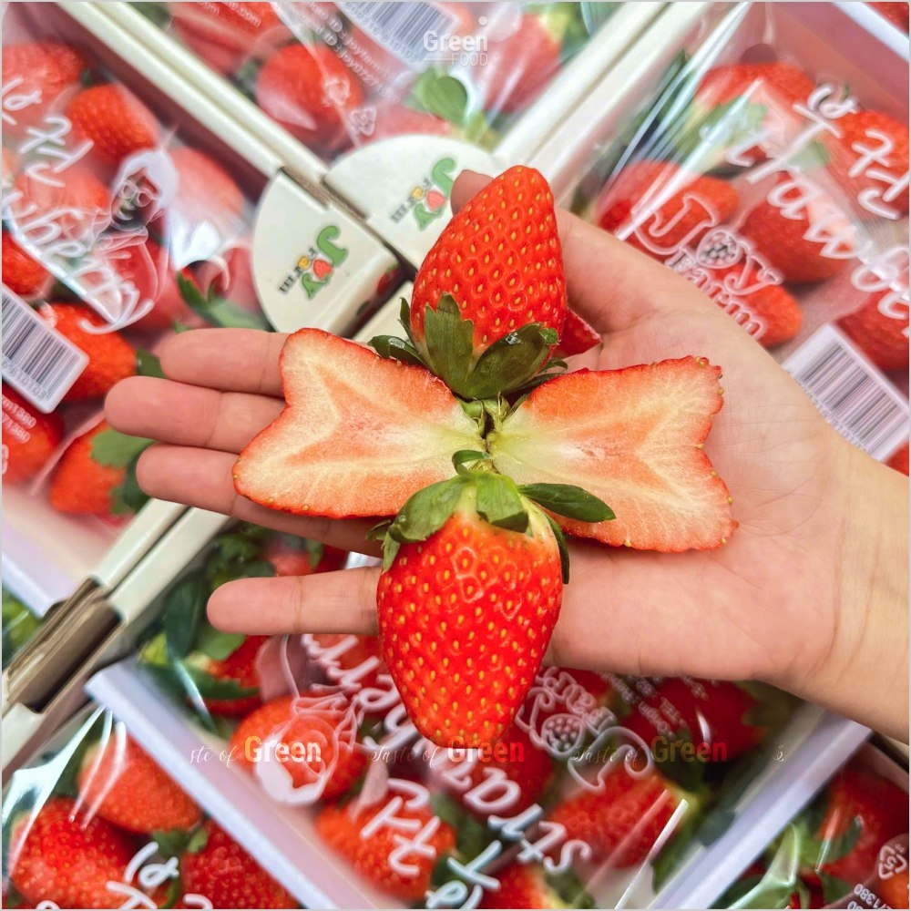 Dâu Tây Hàn Quốc JOY FARM