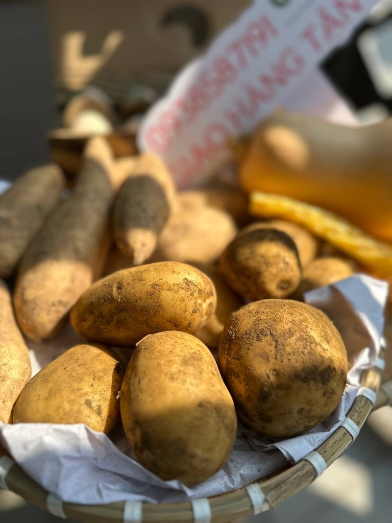 Khoai Tây Đồi - PTCT: Hữu Cơ