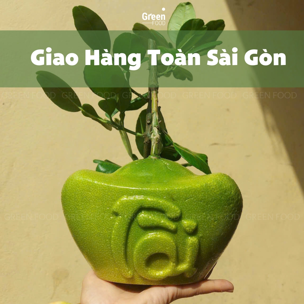 Bưởi Da Xanh Thỏi Vàng Chất Lượng Tại Sài Gòn - Liên Hệ GREEN FOOD